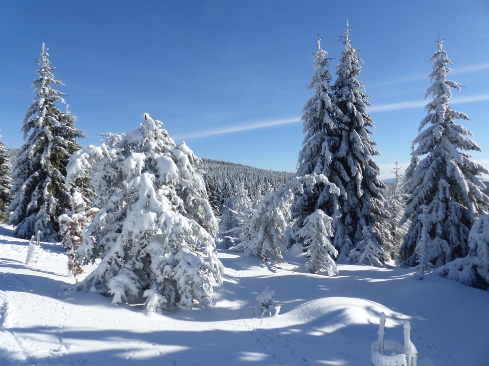 Zimní lyžařské soustředění Jizerské hory 5-11.2.2023